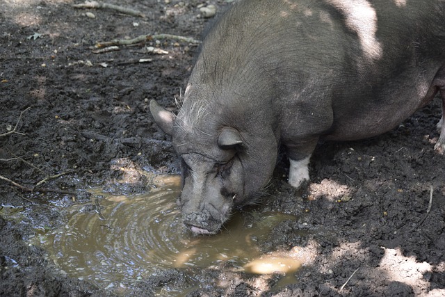的建立和推 的建立和推
