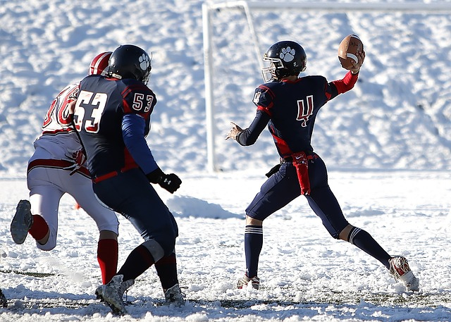 主场环境的 主场环境的