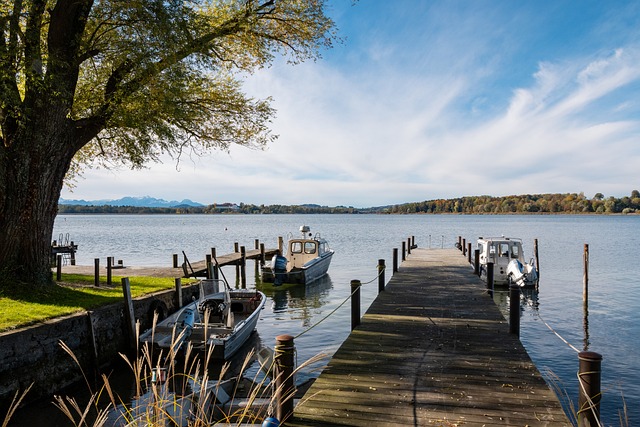 专门针对电 专门针对电