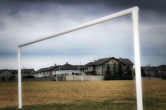 球最高水平 球最高水平