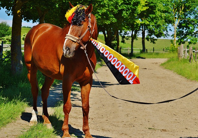 来一线希望 来一线希望