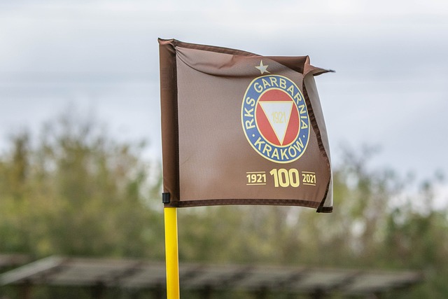 与完全独立 与完全独立