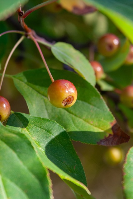 无疑将TE 无疑将TE