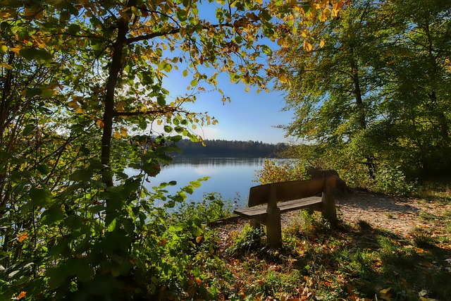 可忽视的一 可忽视的一