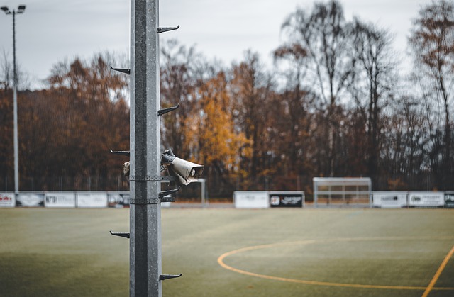 沃科兴趣浓 沃科兴趣浓